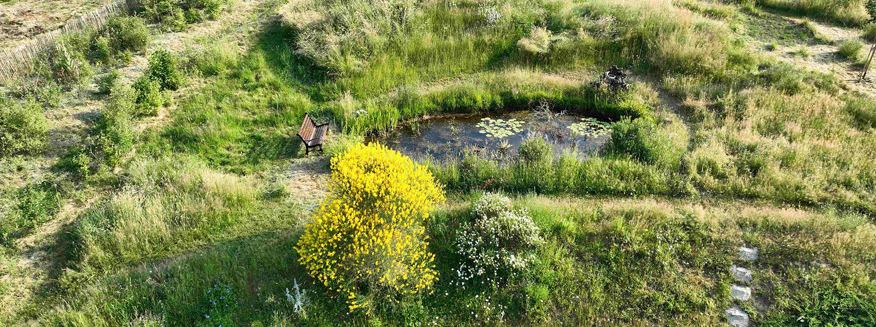 Een ecologische tuin is een veerkrachtige tuin