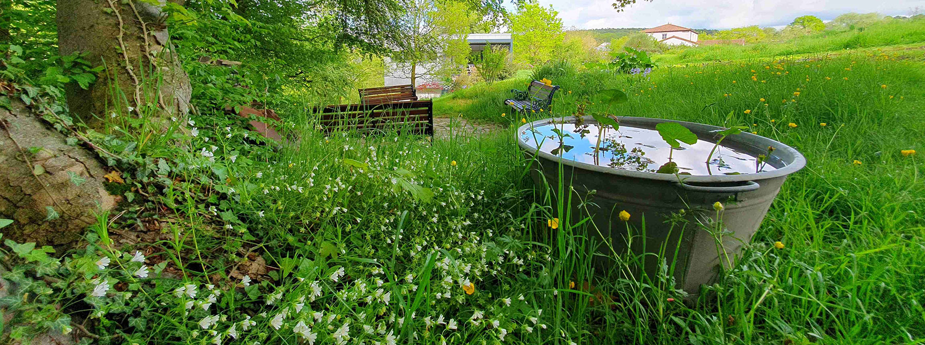 Een ecologische tuin is een veerkrachtige tuin